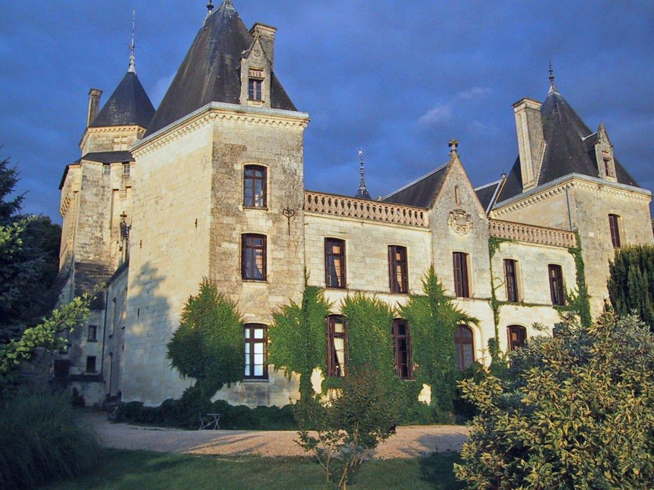 Chateau De Ternay Ternay  Exterior photo